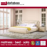 Modern New Design Bed for Bedroom Use (FB2102)
