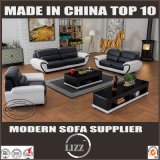 Modern Leather Sofa for Living Room with Italian Leather
