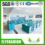 Chemistry Laboratory Equipment Lab Table for Wholesale (LT-06)