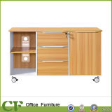 Hot Sales File Cabinet CF-S10309