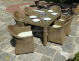 Patio Wicker Furniuture Dining Outdoor Table (DH-8880)