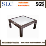 Garden Table/Coffee Table (SC-B1078-4)
