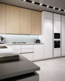 China Prima Laminate Kitchen Cabinet with New Design Prefab (PR-K2058)