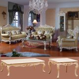 Antique Leather Sofa Set for Home Furniture (506)