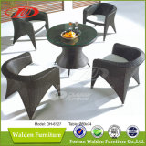 Garden Dining Table, Dining Chair (DH-6127)