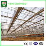 Easily Assembled Sheet Glass Small Winter Solar Agricultural Greenhouse Frame