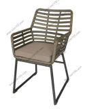 Europe Style Leisure Patio Wicker or Rattan Chair (WS-06073)