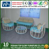New Design Rattan and Aluminum Garden Sofa Sets (TG-8003)