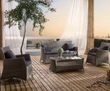 Rattan Patio Wicker Garden Pine Lounge Home Hotel Office Outdoor Sofa (J630)