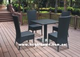 Outdoor Furniture/PE Rattan Furniture/Dining Set/ Wick Furniture/Garden Furniture