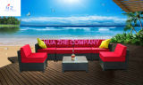 Sofa Outdoor Rattan Furniture with Chair Table