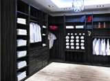 European Style Modern Design Walk-in Closet (Br-Cr002)