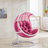 2017 New Hanging Chair &Swing Rattan Furniture, Rattan Basket (D005)