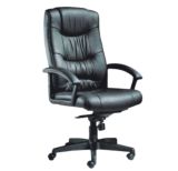 Leather Chair Office Chair (FEC1072)