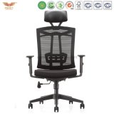 Ergonomic Mesh High Back Computer Office Chair with PU Headrest Padded Adjustable Arms and Suit Hangers