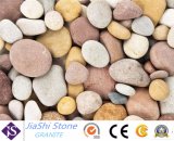 Cobblestones Natural Colorful Pebble Stone for Paving and Garden