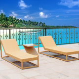Hotel Swimming Pool Furniture Rattan Sun Bed (T530)
