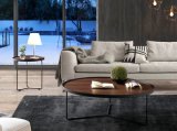 Modern Livingroom Furniture Combination Coffee Tables