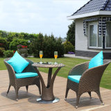 Outdoor PE Rattan / Wicker Square Coffee Shop Tables and Chairs (Z309)