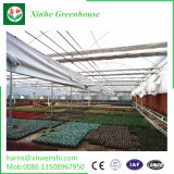 China Commercial Wholesale Hydroponics System for Greenhouse