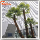 Indoor Decoration Fiberglass Artificial Palm Tree