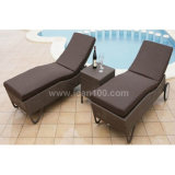 Garden Aluminum Beach Chair (CL-1003)