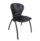 Plastic Chair Dining Chair (FECA101)