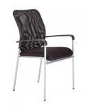 Middle Back Executive Office Mesh Staff Chair with Arm (FS-5001)