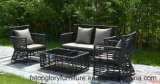 New Arrival Aluminum Frame Rattan Wicker Outdoor Sofa Set Furniture (TG-S212)