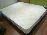 Pocket Spring Mattress Flat Compressed Packing in a Wooden Pallet Can Be Customized