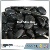Black High Quality Pebble Stone for Flooring