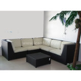 Leisure Furniture Aluminum Rattan Sofa (WS-06040)