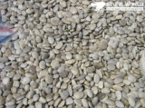 Mixed Color High Polished Natural Pebble for Garden, Home, Yard