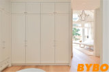 Modern High Glossy Lacquer Hinged Wardrobe Finish (BY-W-121)