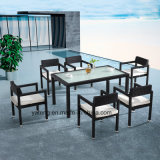 Aluminum Outdoor Garden Dining Table and Chairs with Top Quality by 6person (YT547)