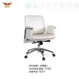Visitor Chair Executive Adjustable Chair with Armrest (HY-366B)