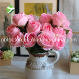 Wholesale 7 Heads Rose Artificial Flower for Decoration