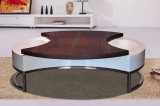 Veneer and High Gloss Table Fashion Design Functional Coffee Table (CJ-M037F)