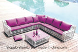 Open Weaving Modern Sofa Garden Furniture (TG-004)