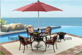 Outdoor /Rattan / Garden / Patio /Hotel Furniture Cast Aluminum Chair & Table Set (HS 3165C& HS6129DT)