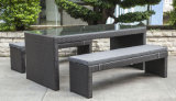 Garden Patio Wicker / Rattan Furniture Dining Set (LN-5079)
