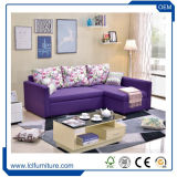 Hot Selling Sleeping Multi-Function Simple Sofa Bed