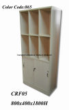 Customized Storage Cabinets with Locking Doors and Adjustable Shelves