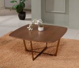 Plywood Top Coffee Table with Stainless Steel Base