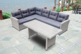Garden Patio Rattan Home Hotel Restaurant Outdoor Furniture Glass Table and Kd Sofa (J725)