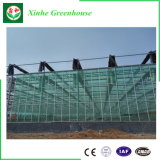 Multipurposeand Elegant Multi-Span Glass Greenhouse