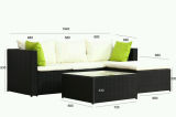 Most Popular Rattan Sofa Set with Table