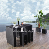 Popular Design Outdoor Garden Furniture UV-Resistant Rattan Bar Set by Chair &Table for 6-10person (YT172)