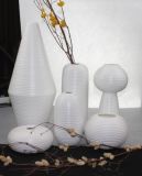 Modern Design Ceramic Vase for Home Decoration