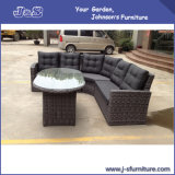 Outdoor Patio Sofa Alum Flat Wicker Table Rattan Sofa Garden Furniture (J400)